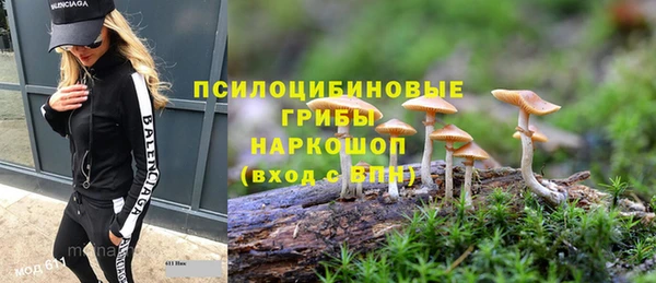 кокс Баксан