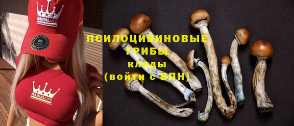 прущий лед Балабаново
